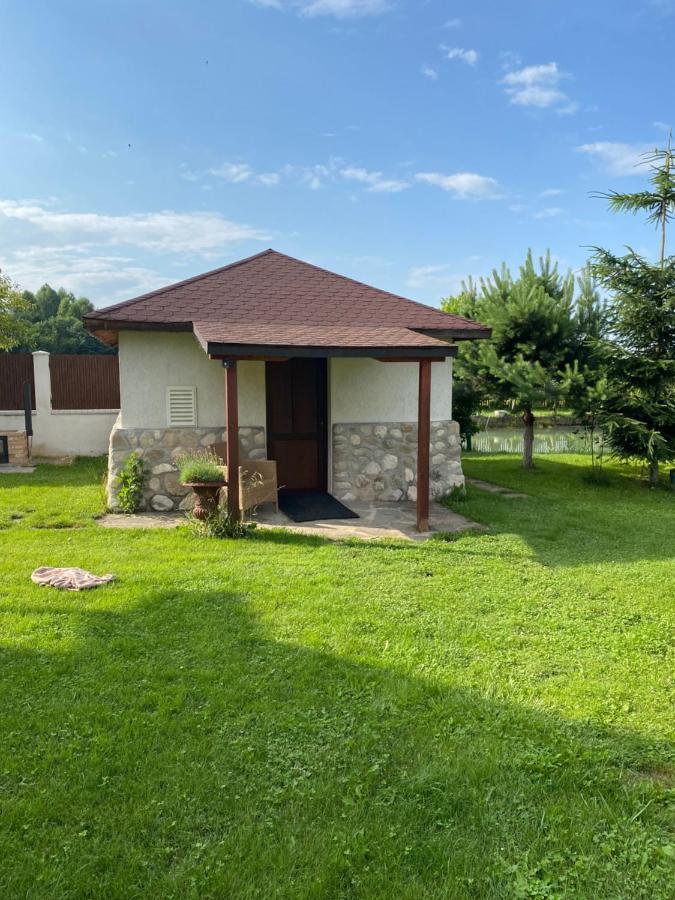 Hasienda Rîşnov Extérieur photo